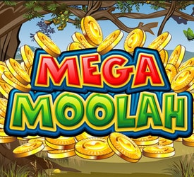 Two new Mega Moolah Progressive Jackpot Millionaires